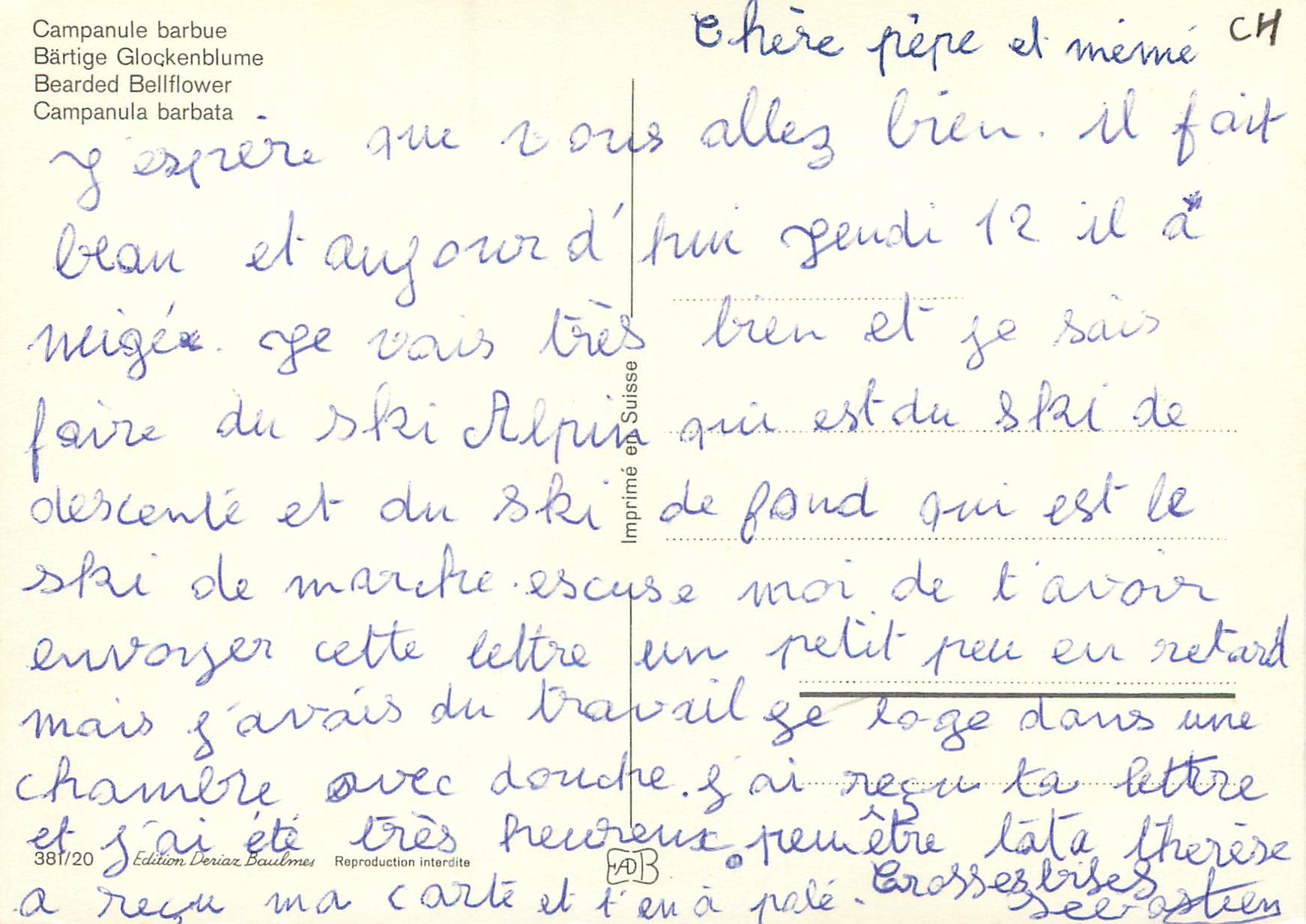 CPM Campanula barbata  — Verso