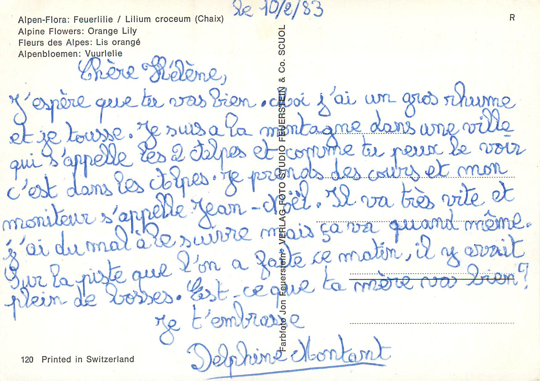 CPM Fleurs des champs Lis orange  — Verso