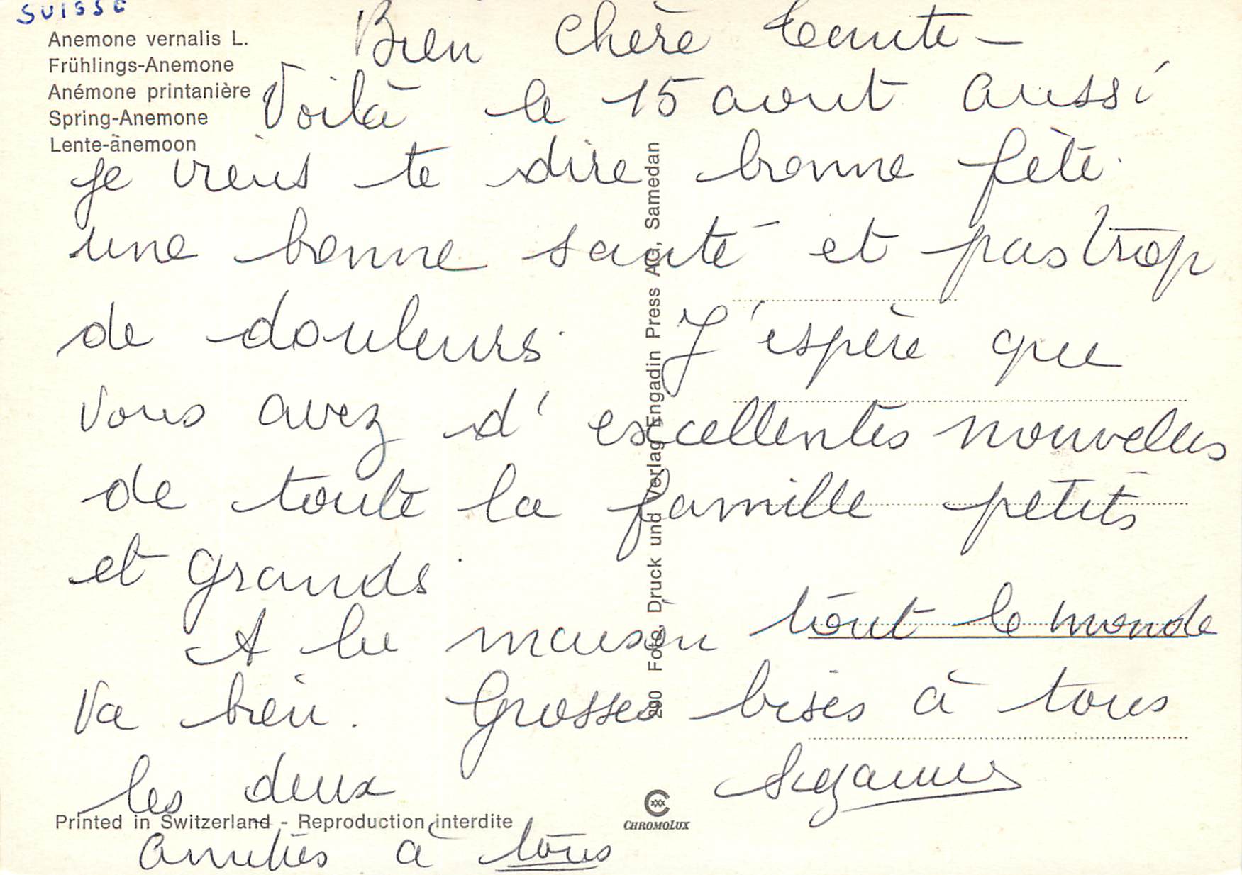 CPM Anemone printaniere  — Verso