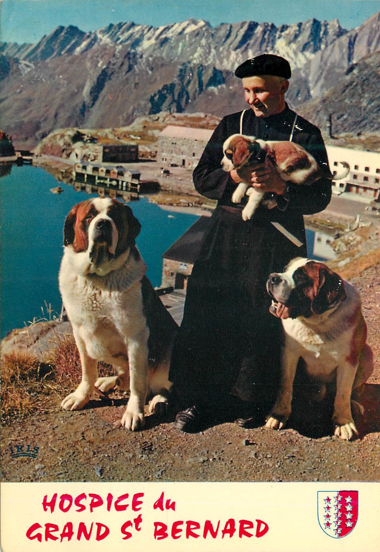 CPM Grand Saint Bernard Chanoine et Chiens de l Hospice Chiens