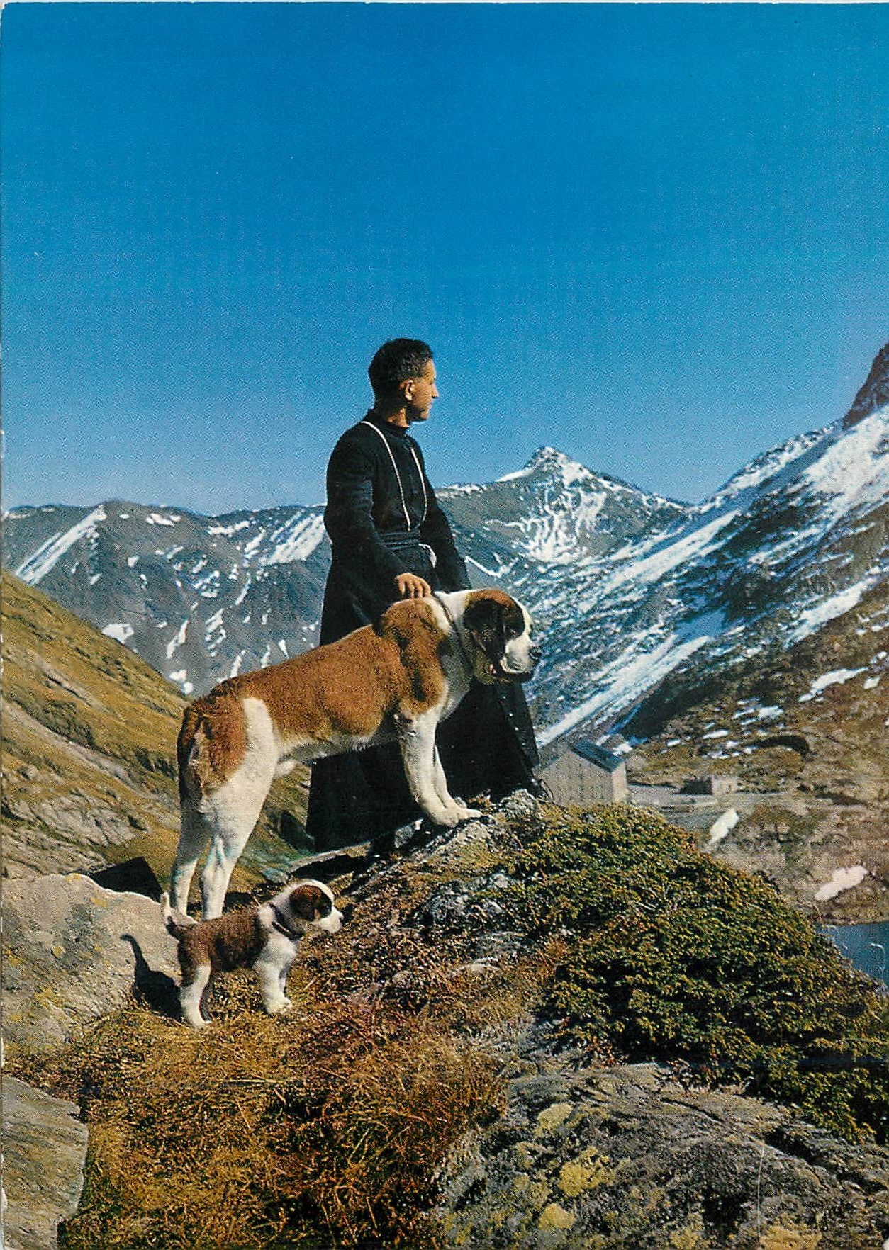 CPM Col du Grand Saint Bernard Un chanoine avec le chien Barry et son petit chiot Chiens