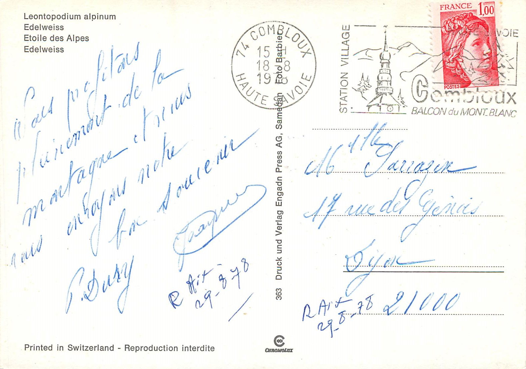 CPM Etoile des Alpes Edelweiss  — Verso