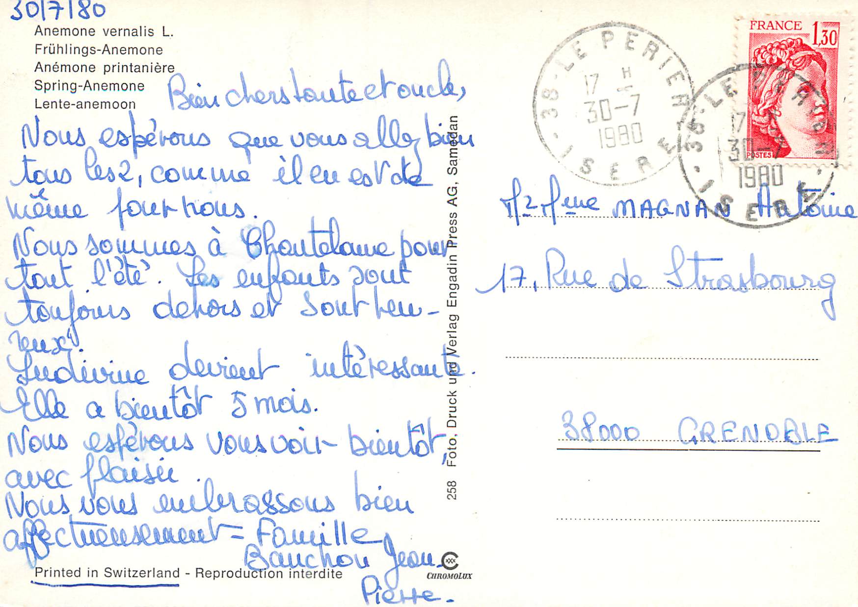 CPM Anemone printaniere  — Verso