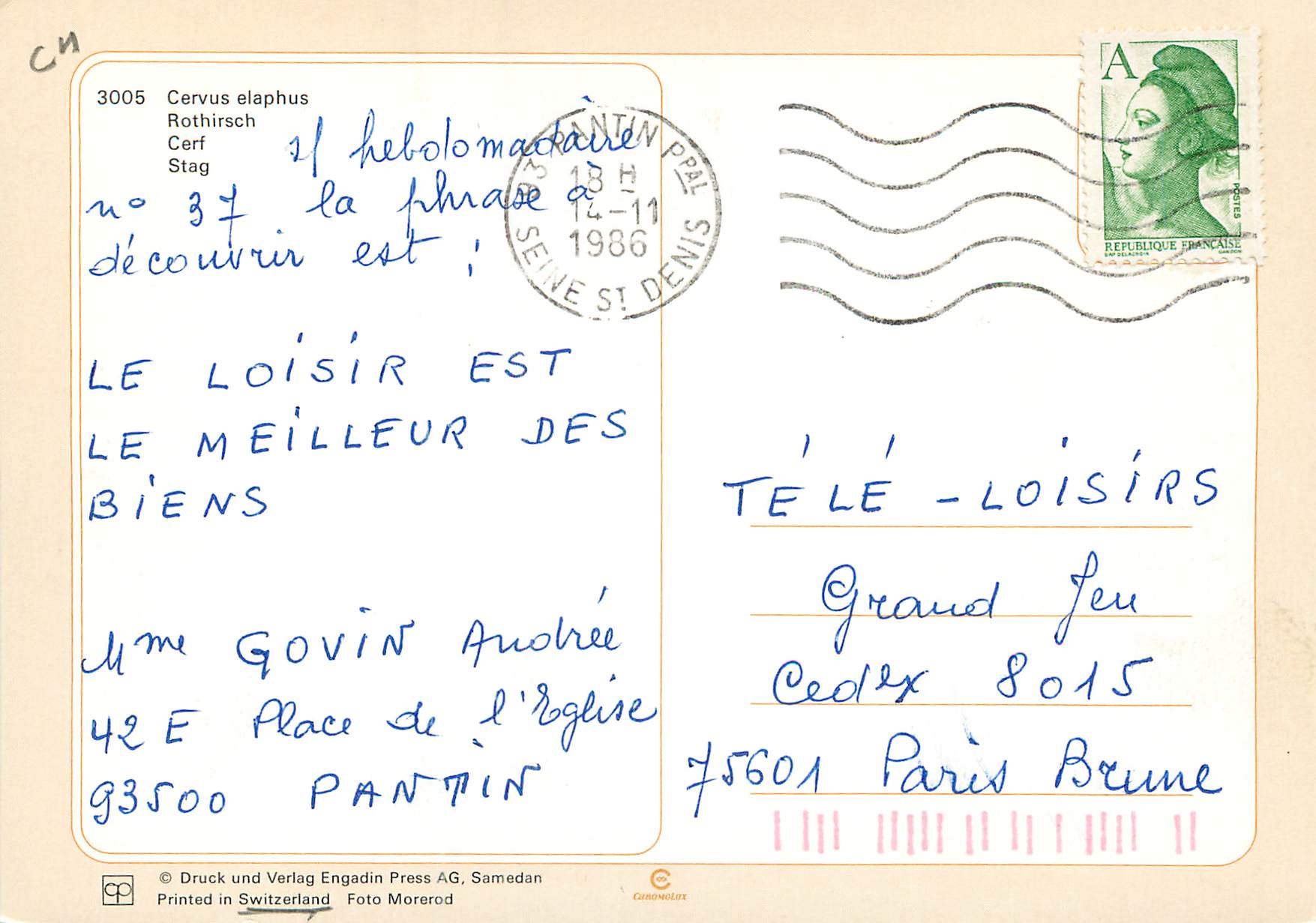 CPM Rothirsch  — Back