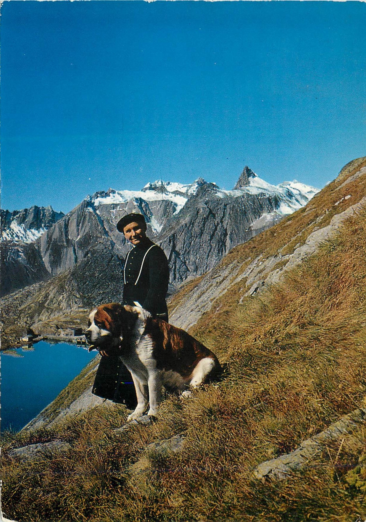 CPM Col du Grand Saint Bernard Un chanoine avec le chien Barry au fond le Pain de Sucre 