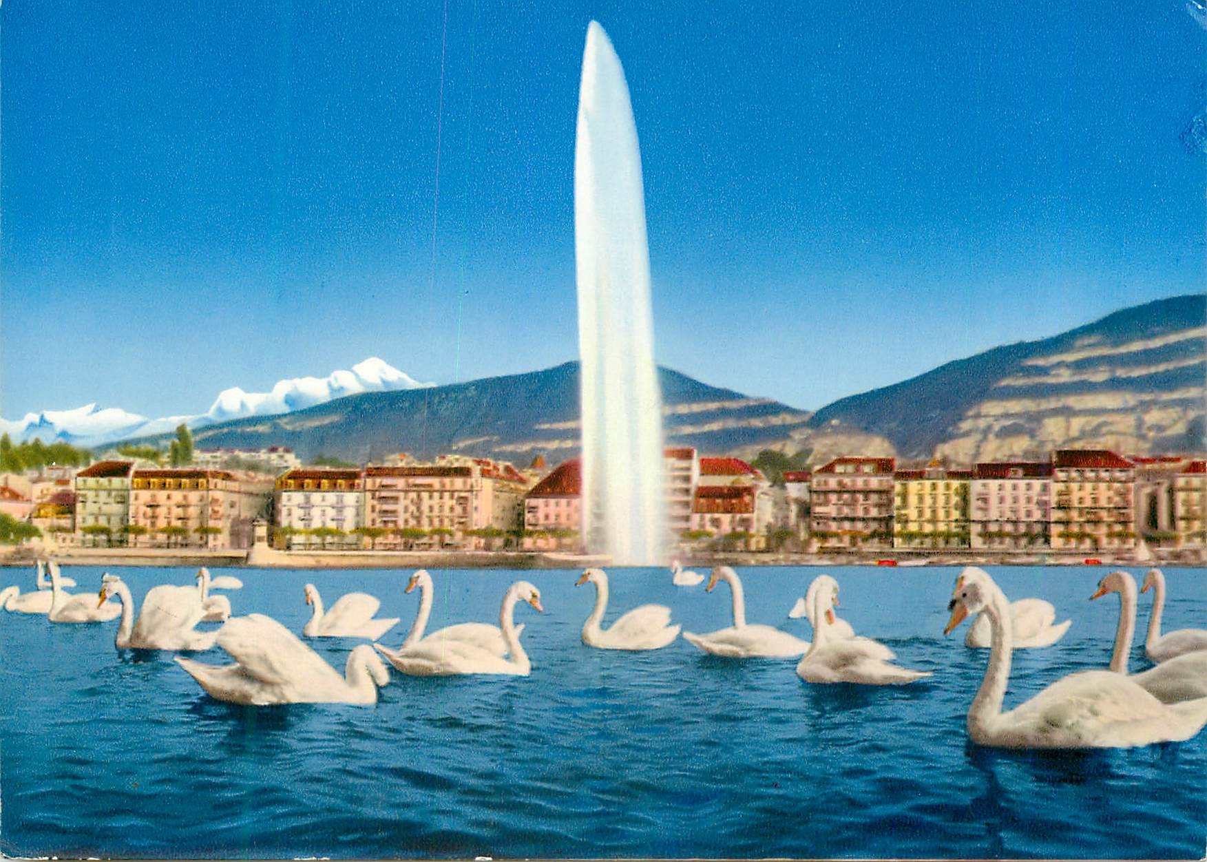 CPM Geneve Le jet d eau et le Mont Blanc Cygnes