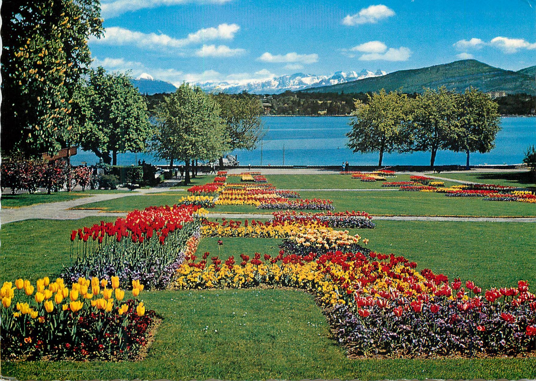 CPM Geneve Parc Mon Repos Mt Blanc et les Alpes 