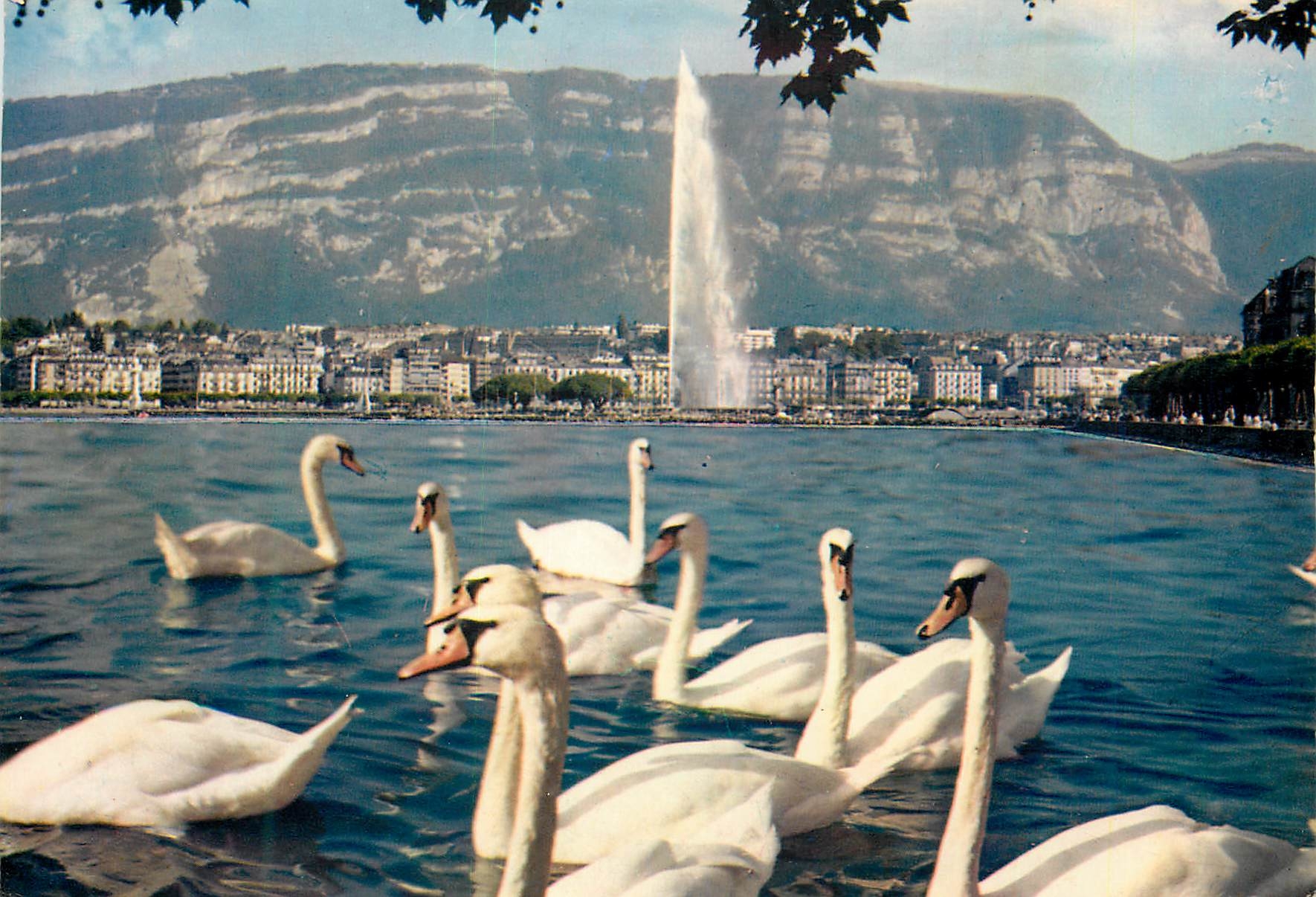 CPM Geneve Cygnes