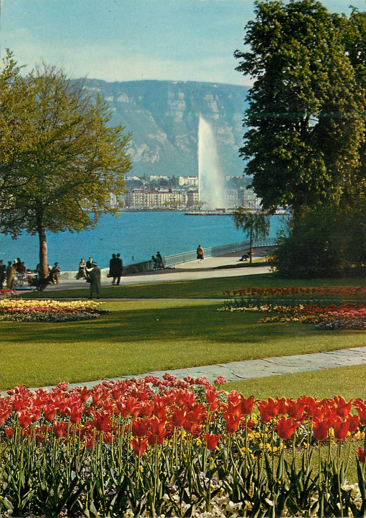 CPM Geneve Le parc Mon repos et le jet d eau 