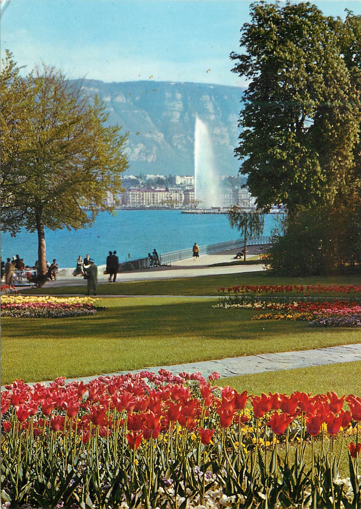 CPM Geneve Le parc Mon Repos et le jet d eau 