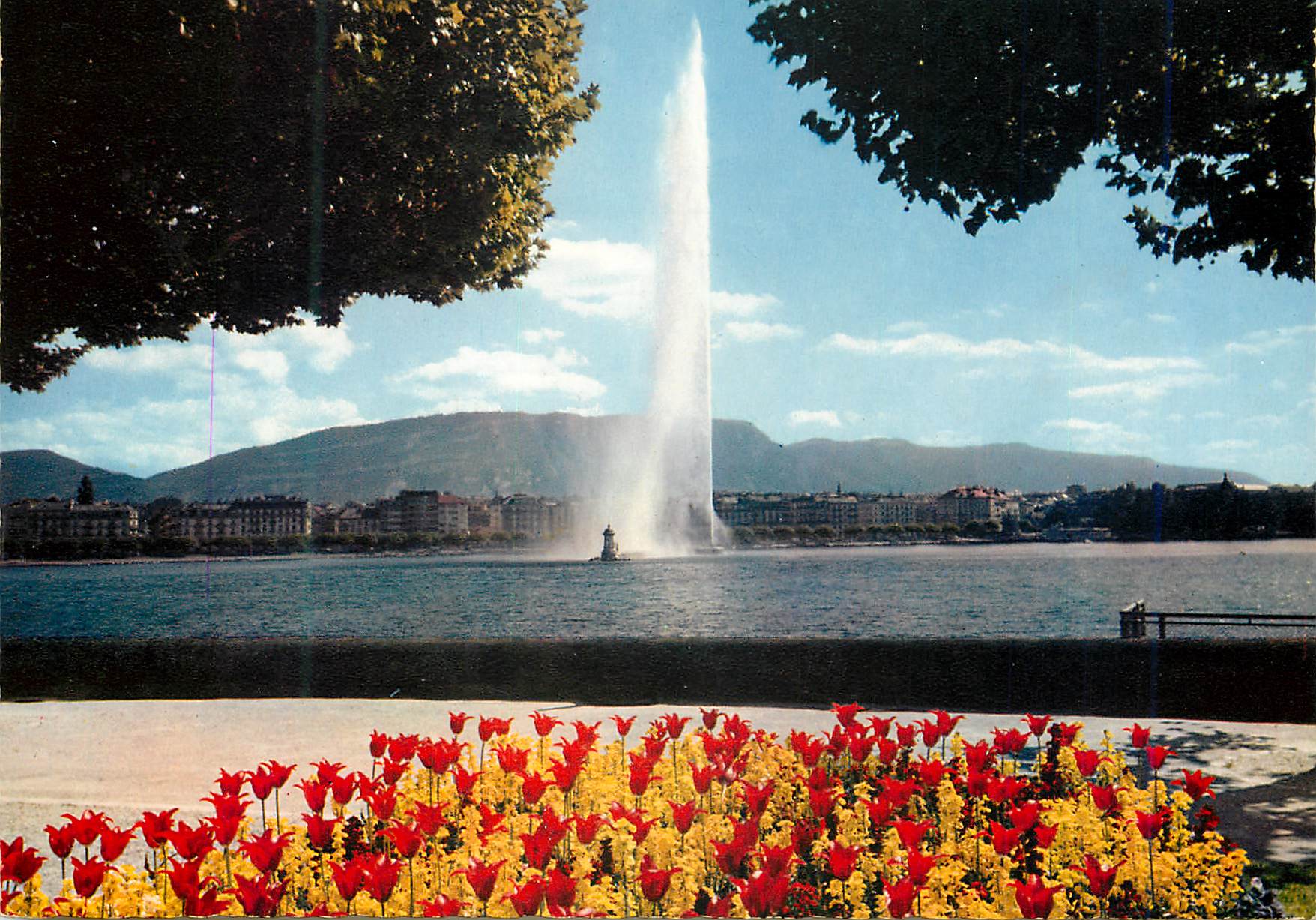 CPM Geneve Le jet d eau 