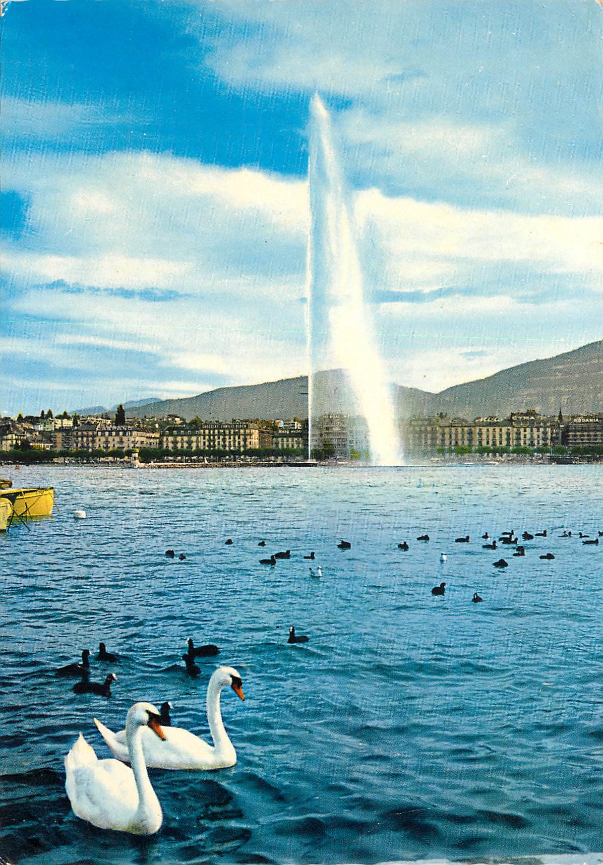 CPM Geneve Le jet d eau et les cygnes 