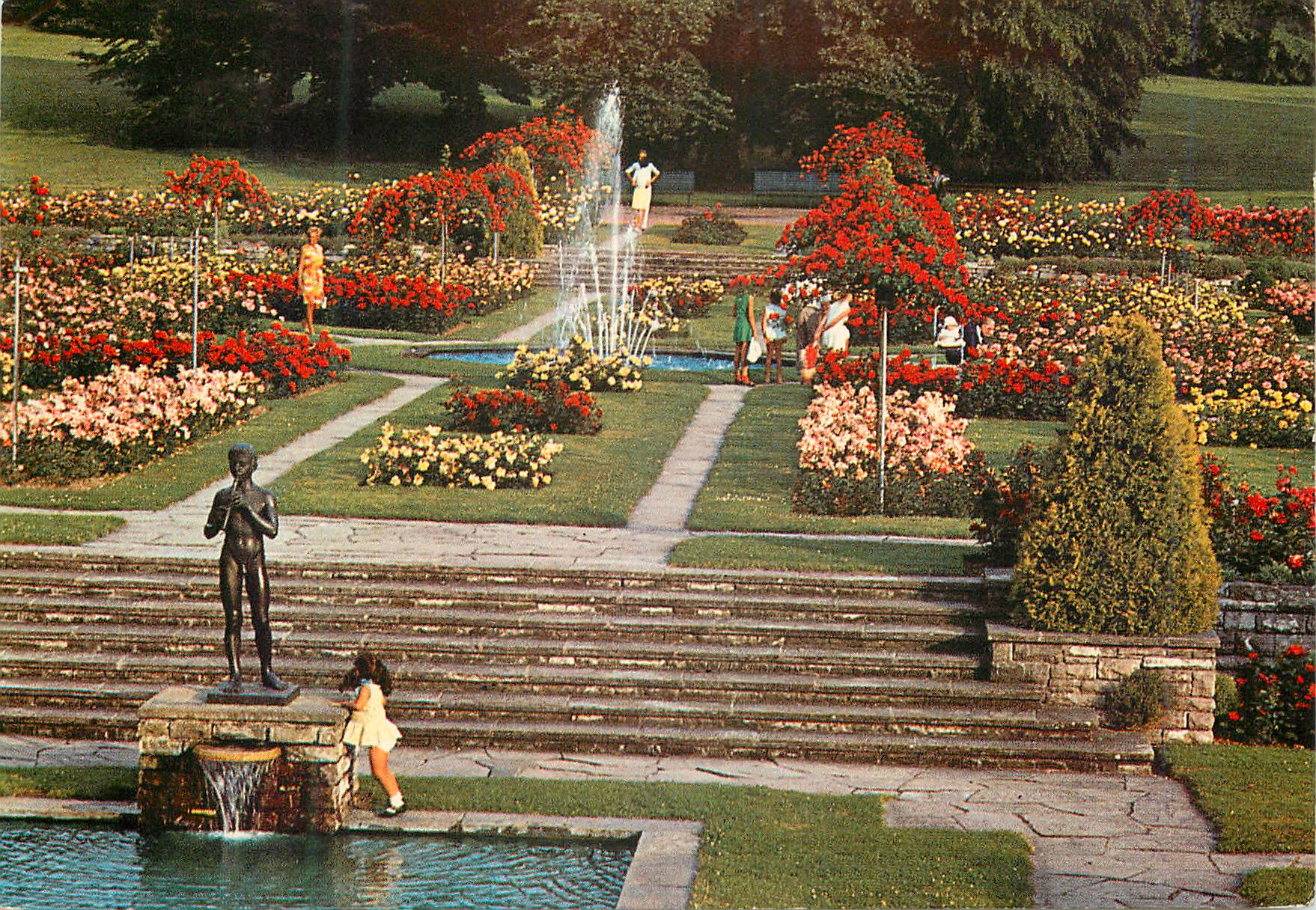 CPM Geneve La Roseraie du Parc de La Grange 
