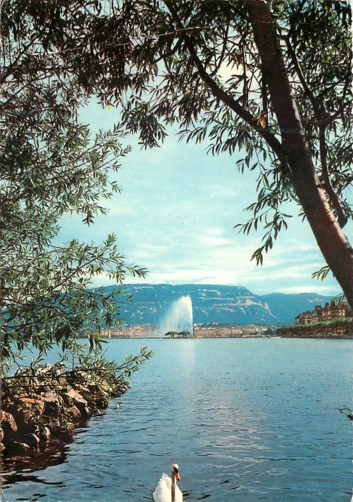 CPM Geneve et le jet d eau vue du Parc Mon Repos 