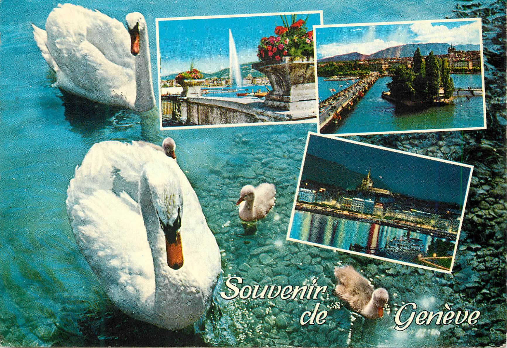 CPM Souvenir de Geneve 