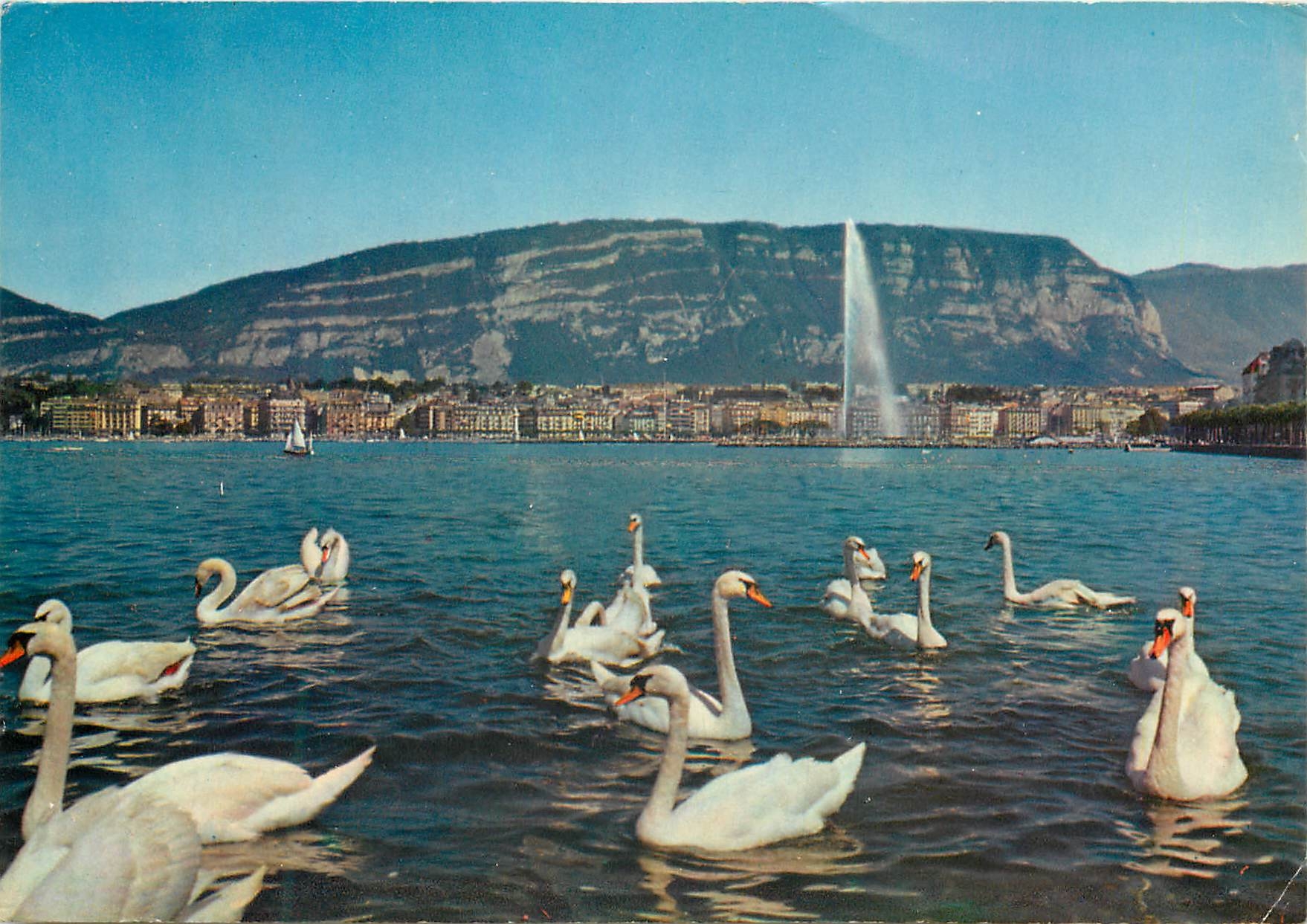 CPM Geneve La ville et le Saleve Cygnes