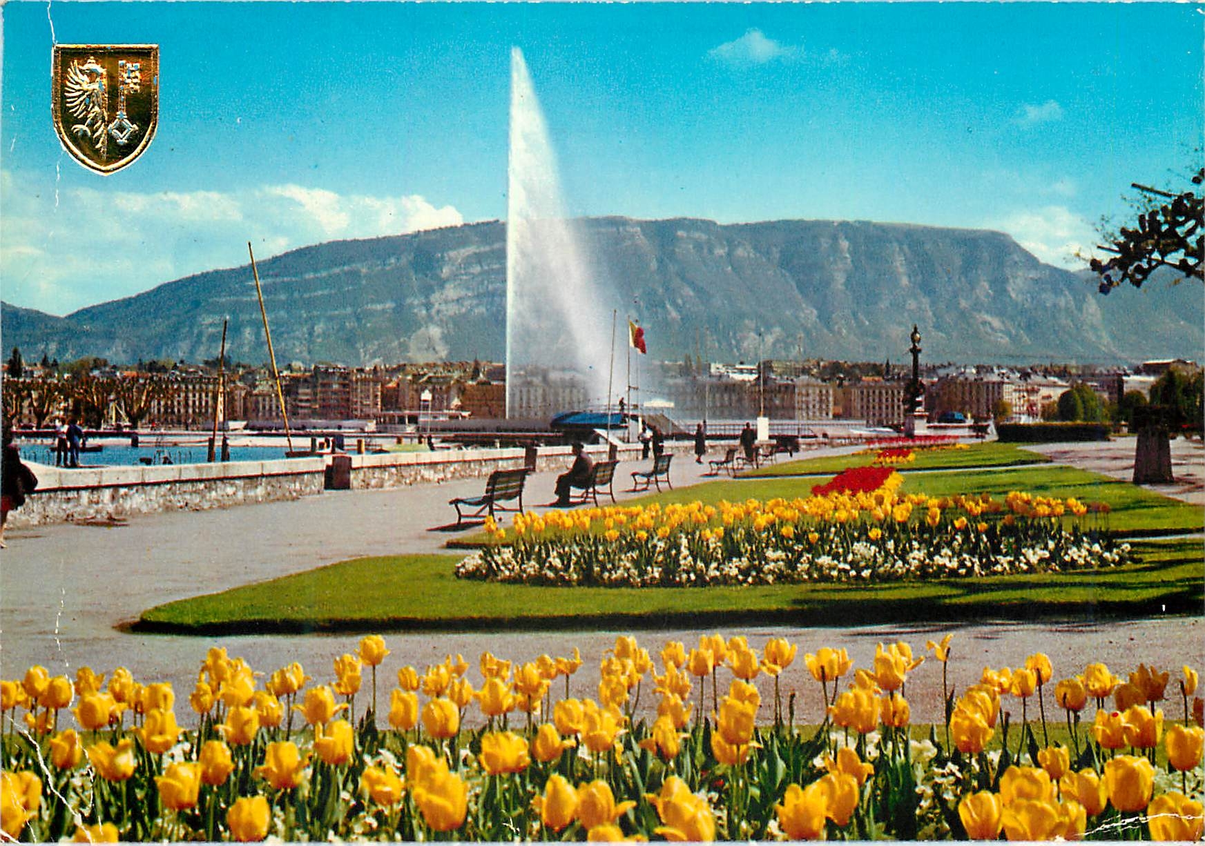 CPM Geneve Le Quai Wilson et le jet d eau 