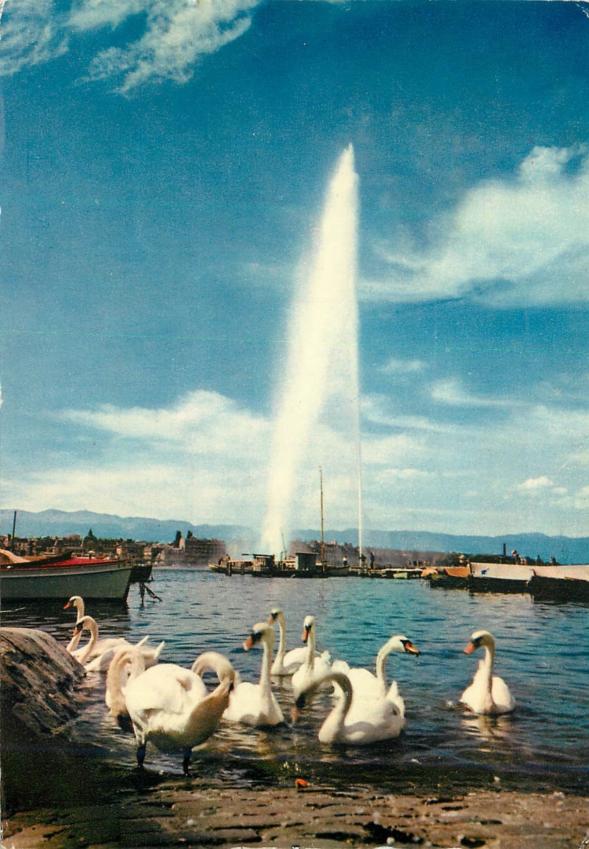 CPM Geneve Le jet d eau et les cygnes 