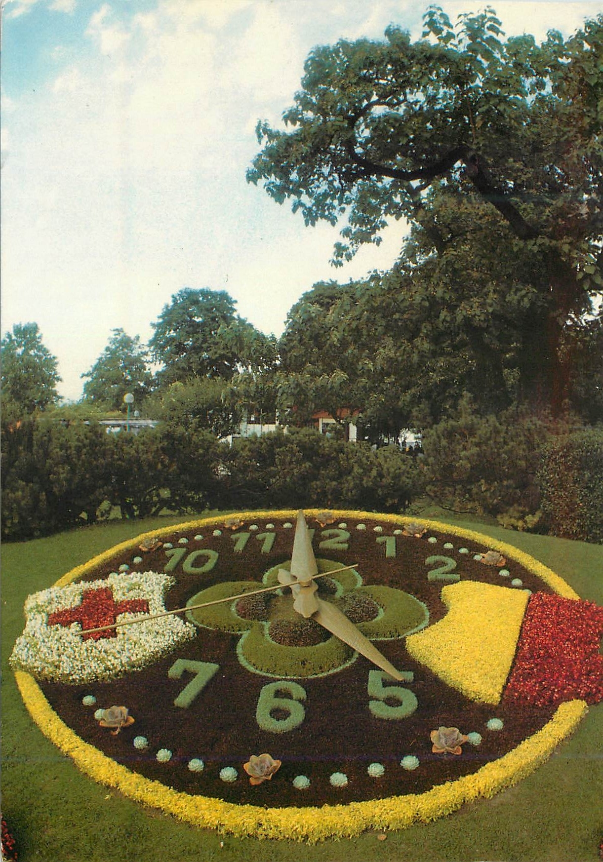 CPM Geneve L Horloge fleurie 