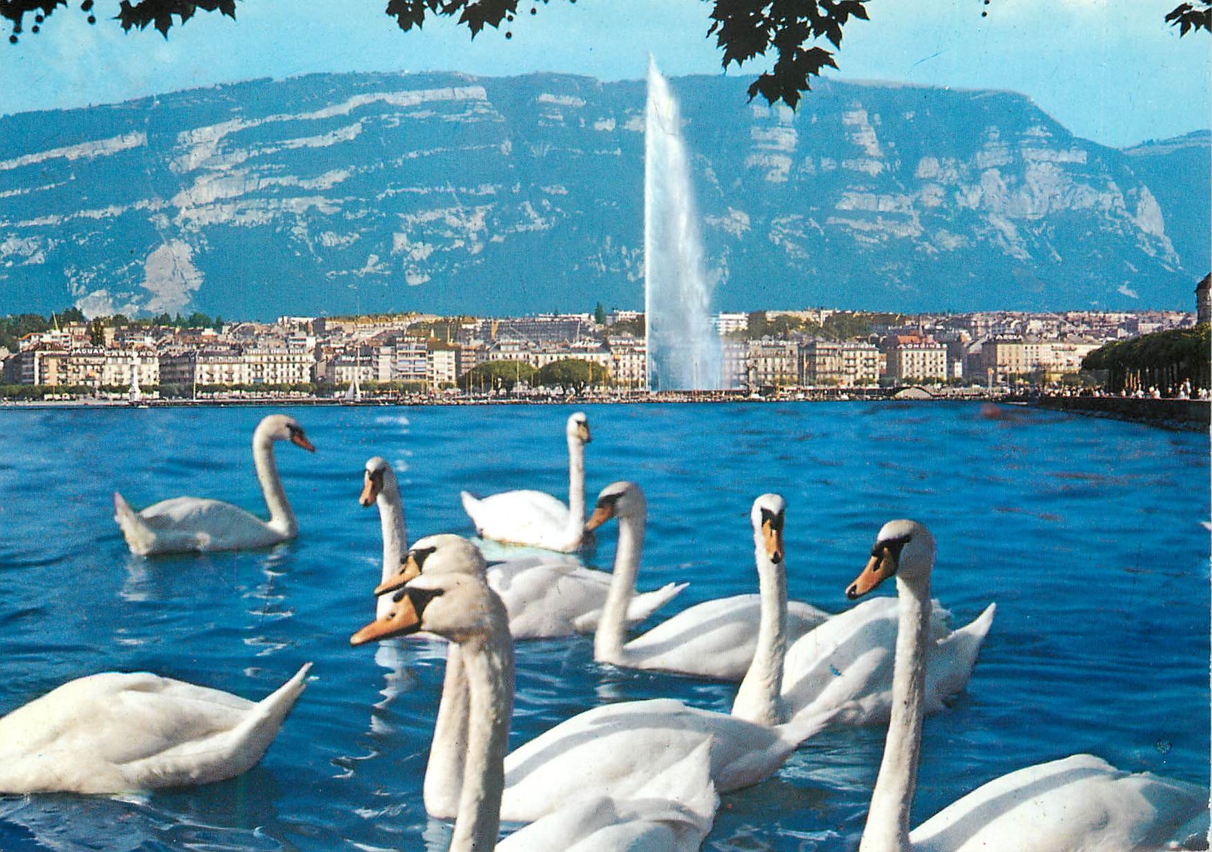 CPM Geneve La Rade 