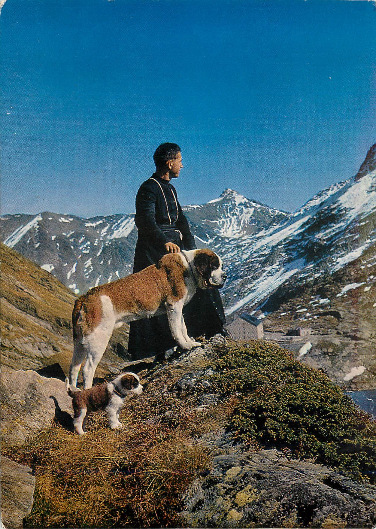 CPM Col du Grand Saint Bernard Un chanonine avec le chien Barry et son petit chiot 