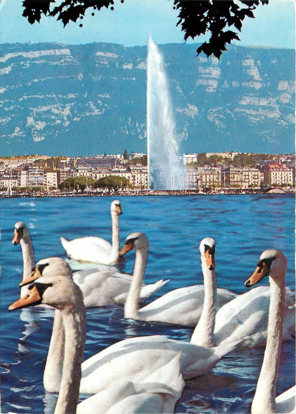 CPM Geneve La rade 
