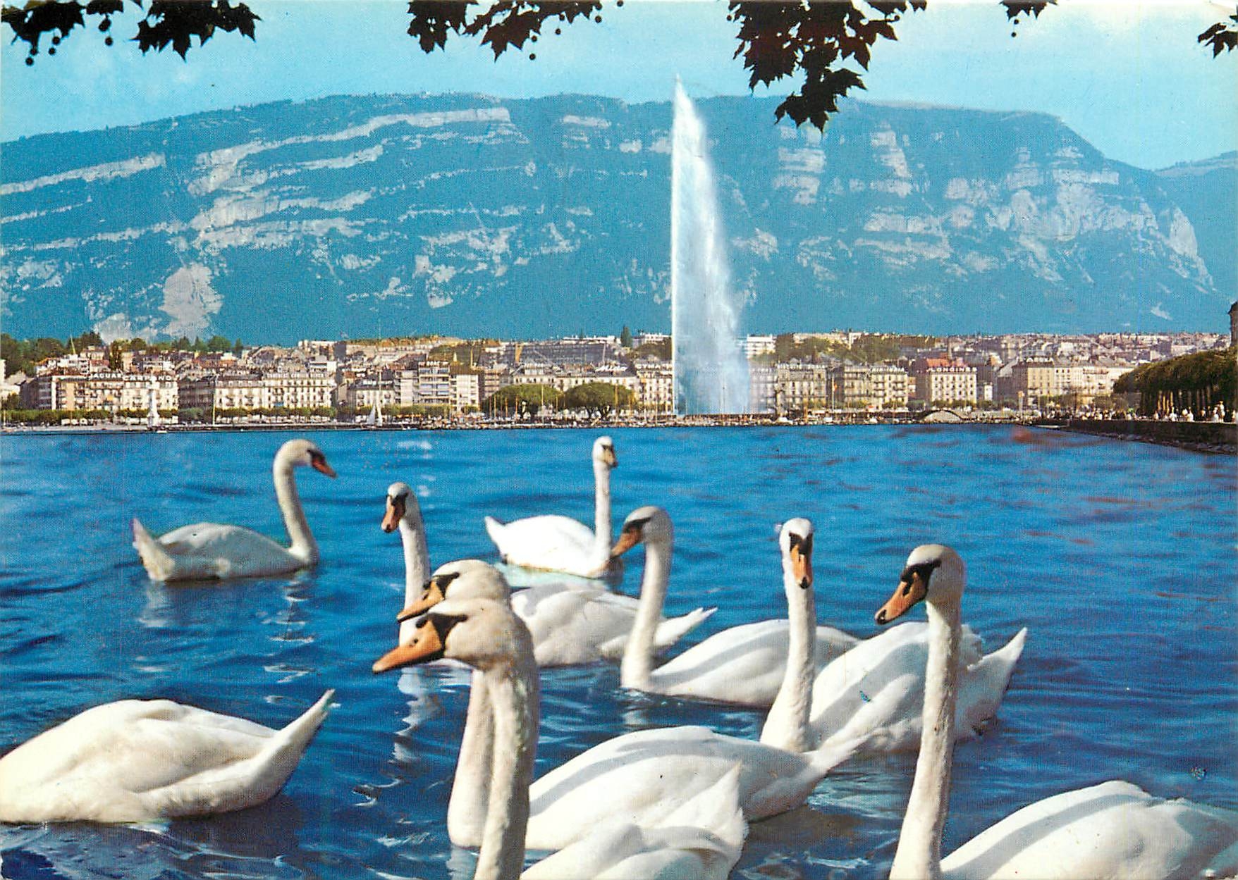 CPM Geneve La rade 