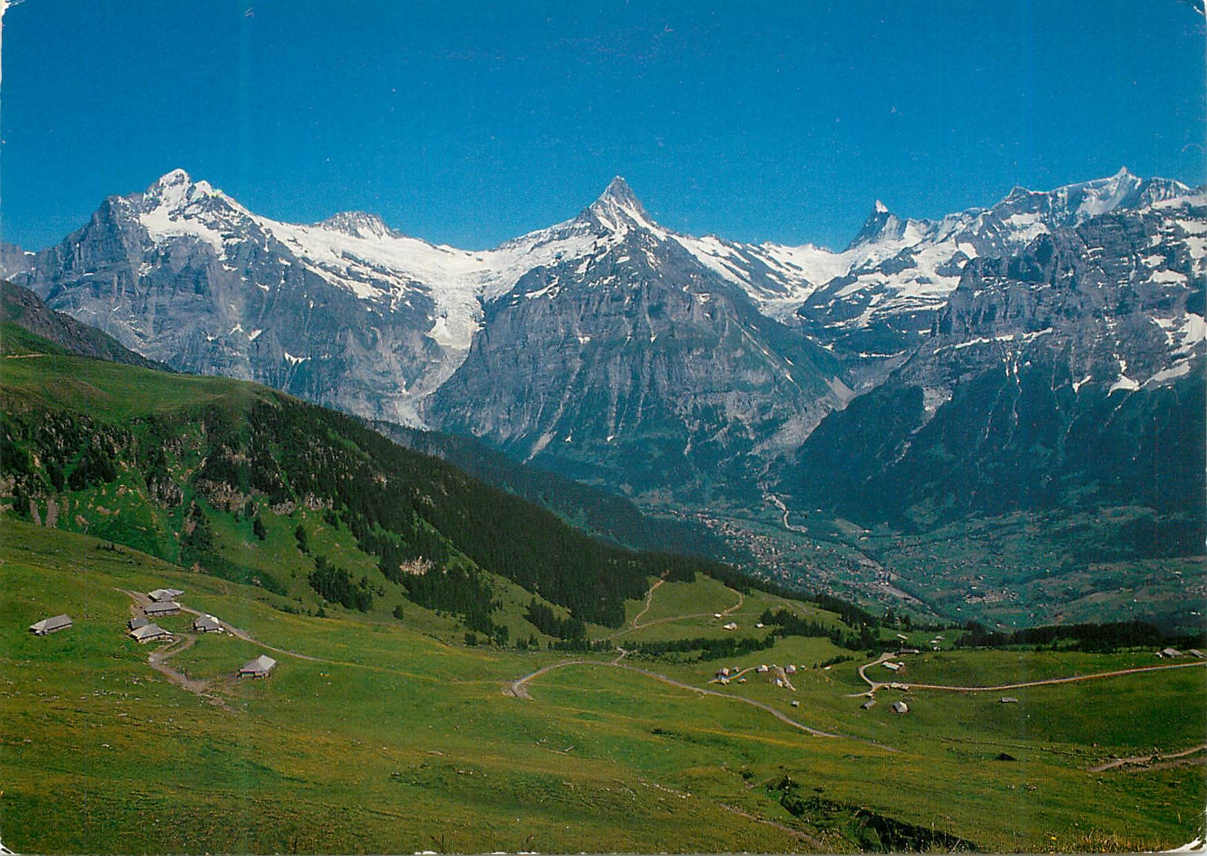 CPM Grindelwald Bussalp mit Wetterhorn 