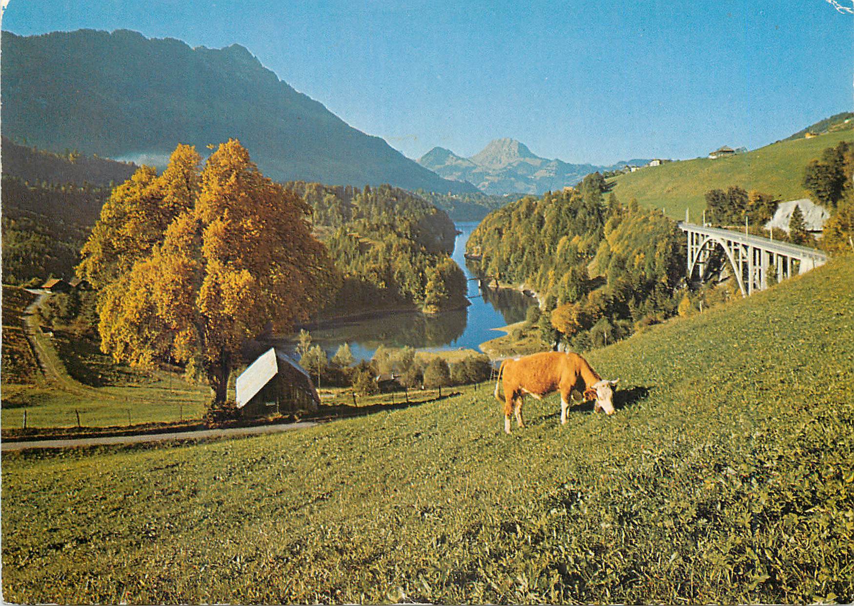 CPM Lac de Montsalvens et Moleson en Gruyere 