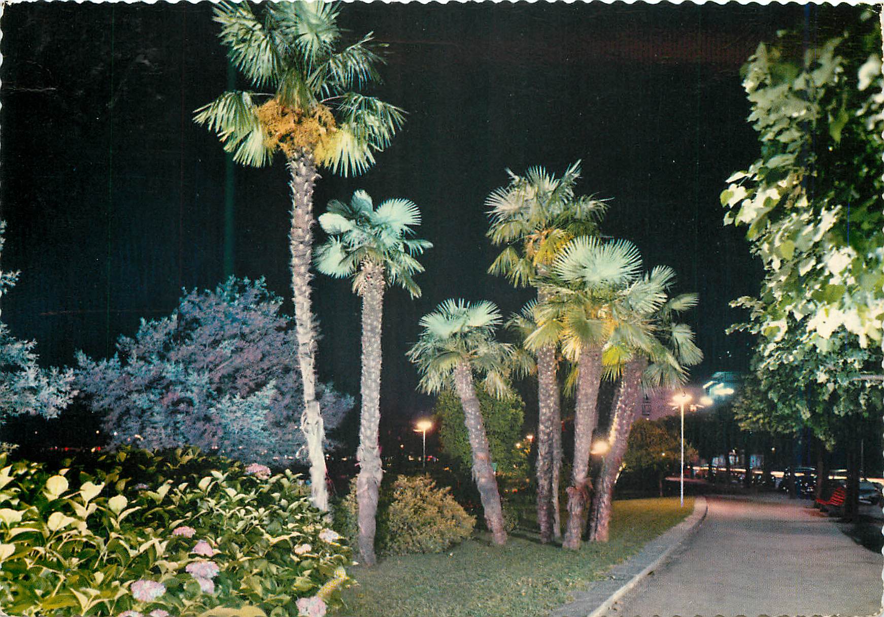 CPM Locarno Lago Maggiore Les jardins sur les quais Vue nocturne 
