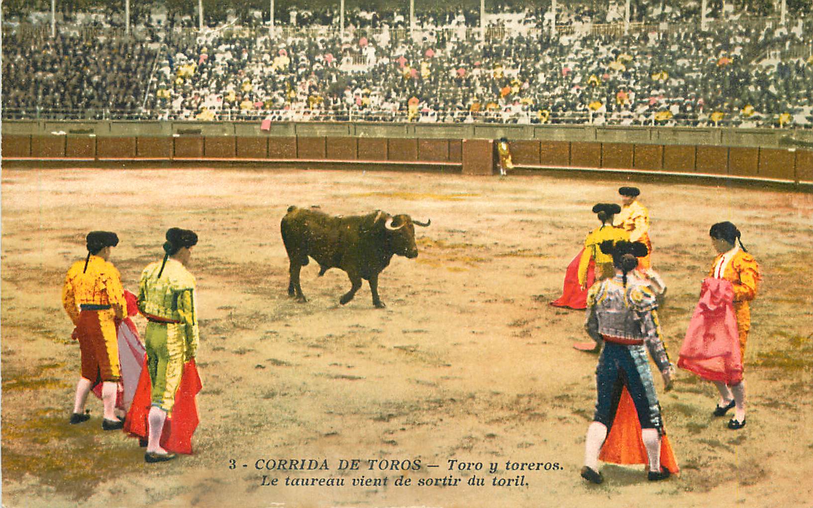 CPA Corrida de Toros Toro y toreros Le taureau vient de sortir du toril 