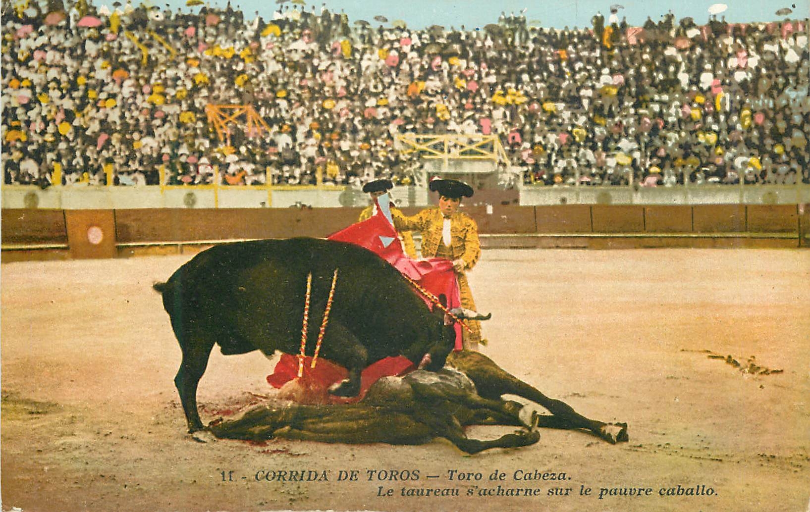 CPA Corrida de Toros Toro de Cabeza Le taureau s acharne sur le pauvre caballo 
