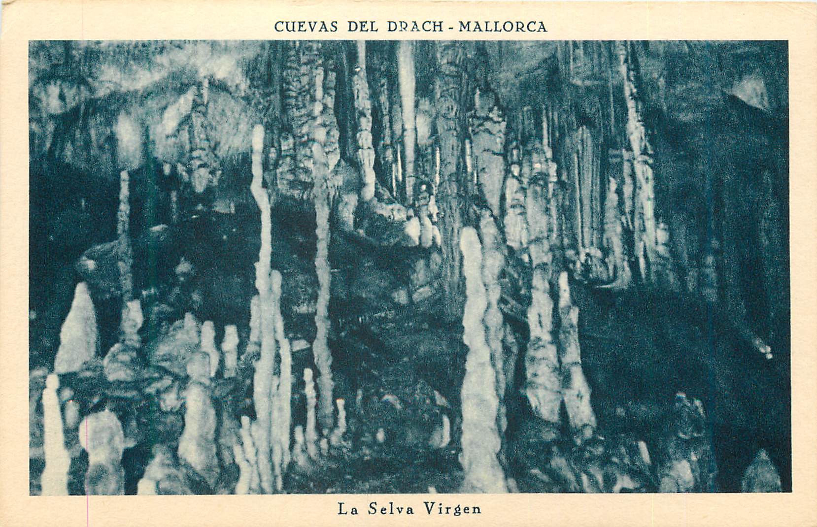 CPA Cuevas del Drach Mallorca La Selva Virgen 