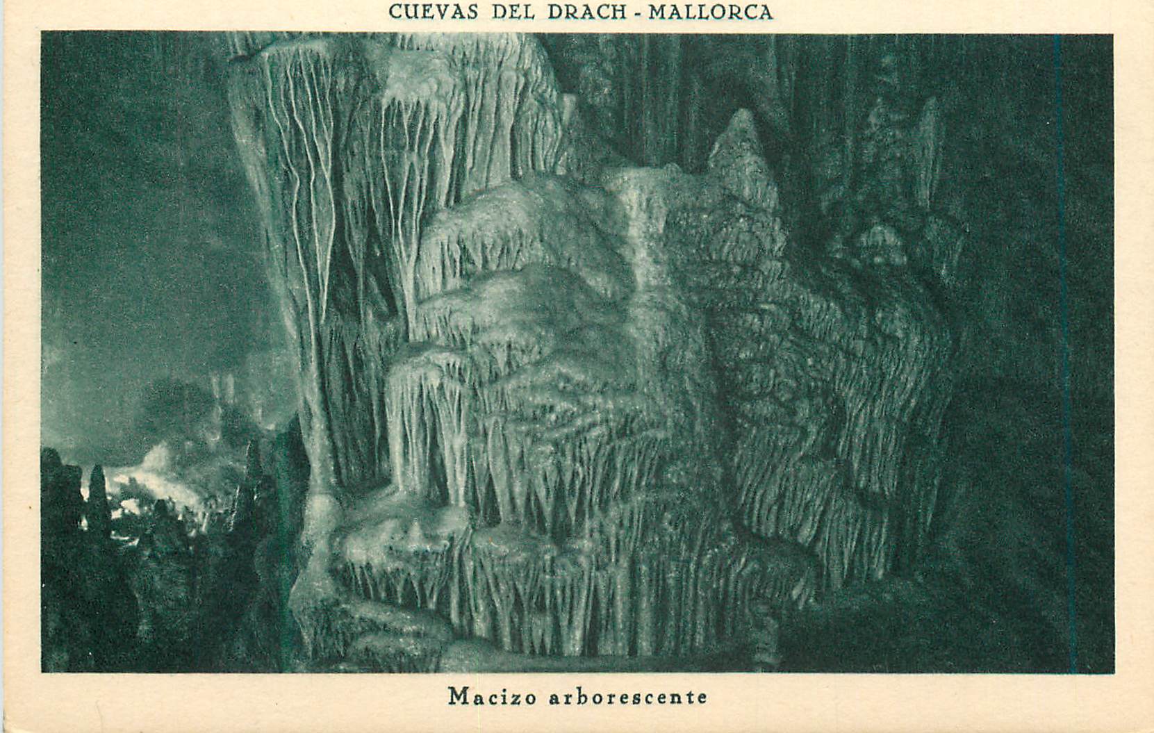 CPA Cuevas del Drach Mallorca Macizo arborescente 