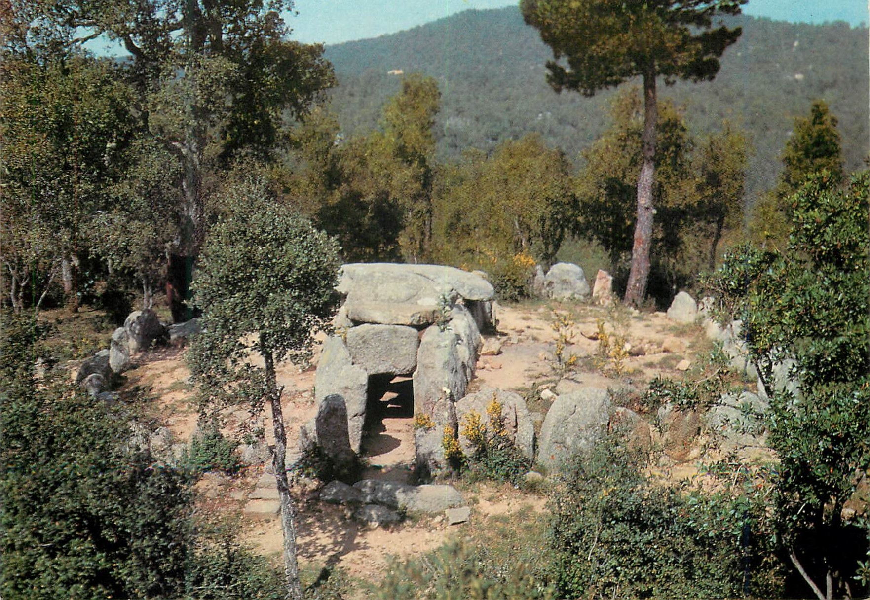 CPM Romanya de la Selva Cava d En Dayna 