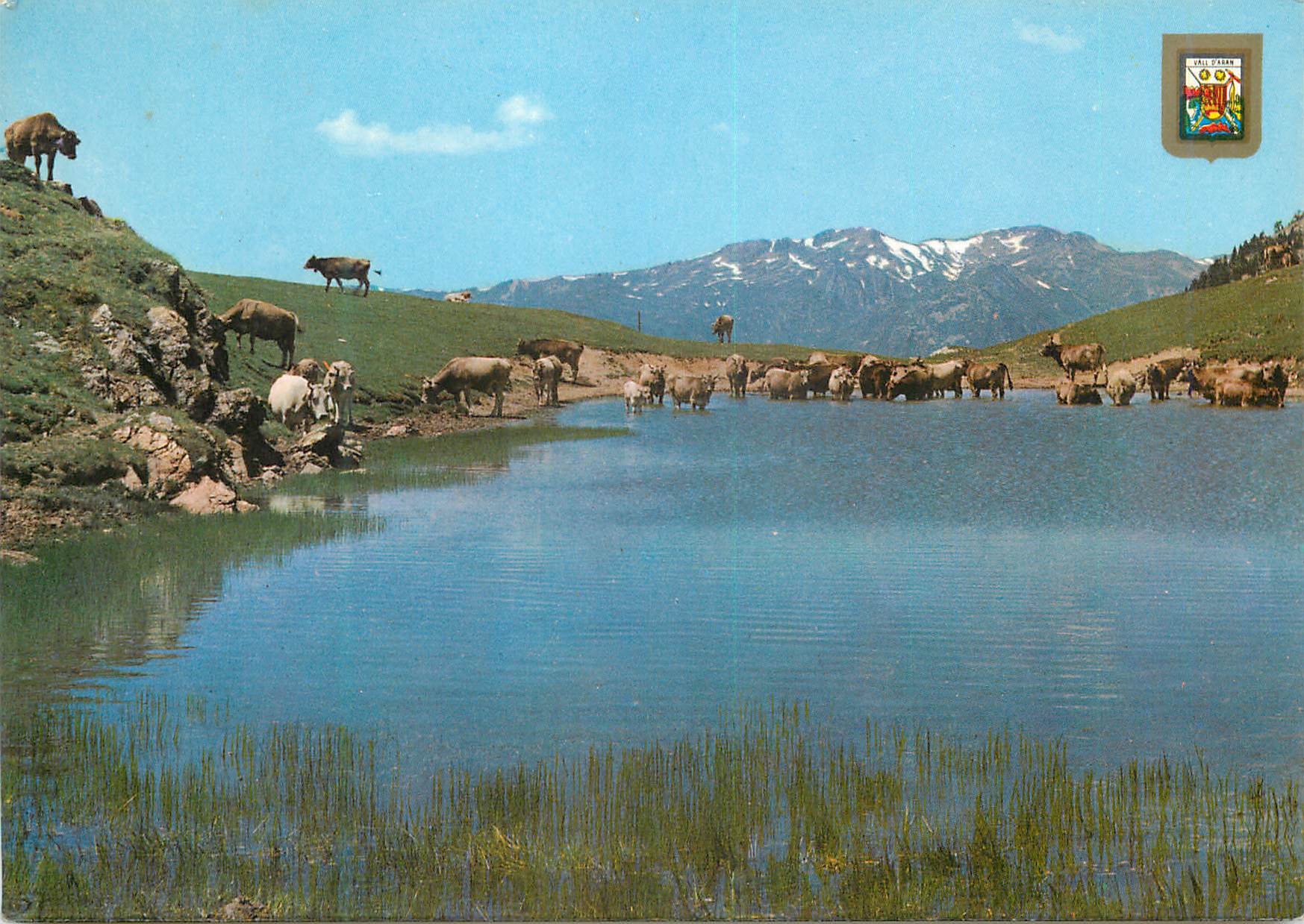 CPM Pirineu Catala Vall d Aran Port de la Bonalgua 