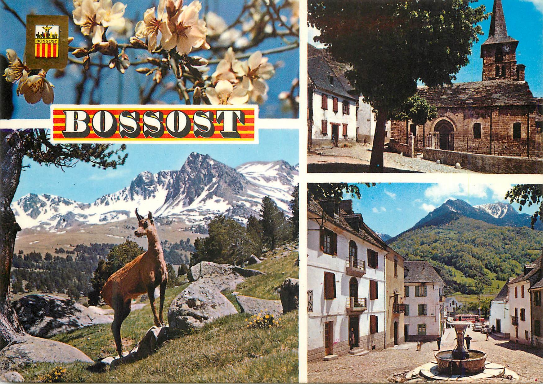 CPM Pirineu Catala Lleida Vall d Aran Bossost Divers aspects 