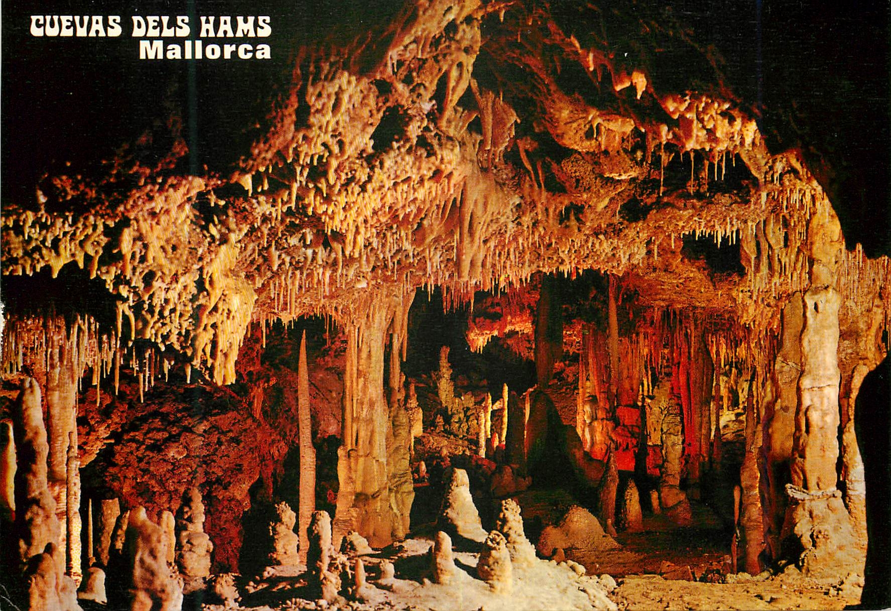CPM Cuevas des Hams Sala de las lechuzas Manacor Porto Cristo Mallorca 