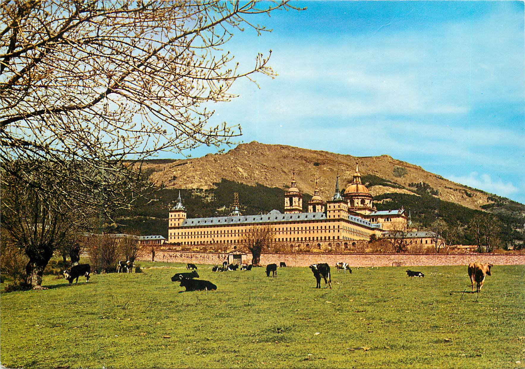 CPM San Lorenzo de El Escorial Madrid Monastere Vue partielle 