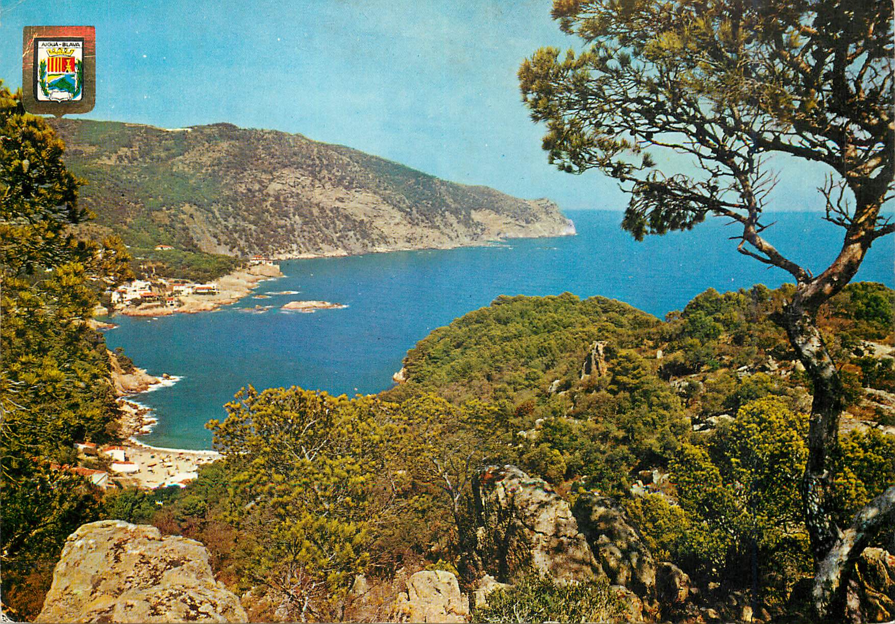 CPM Aigua Blava Costa Brava Vue des Aigua Blava 