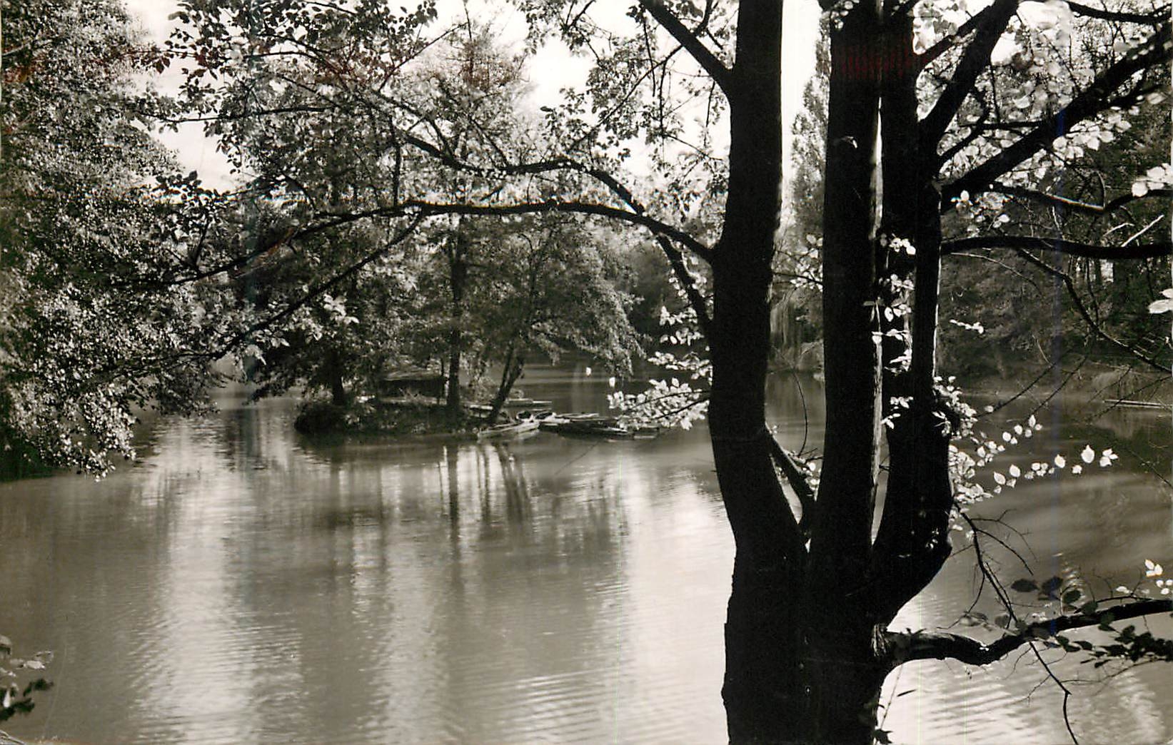 CPM Gartenstadt Landau Pfalz Am Schwanenweiher 