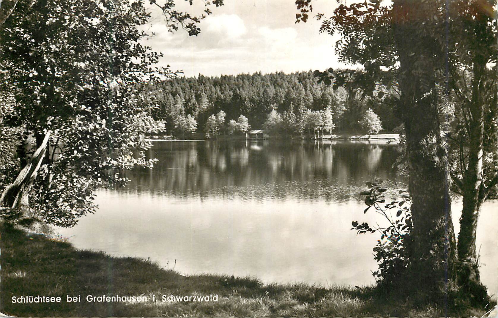 CPM Schluchtsee bei Grafenhausen i Schwarzwald 