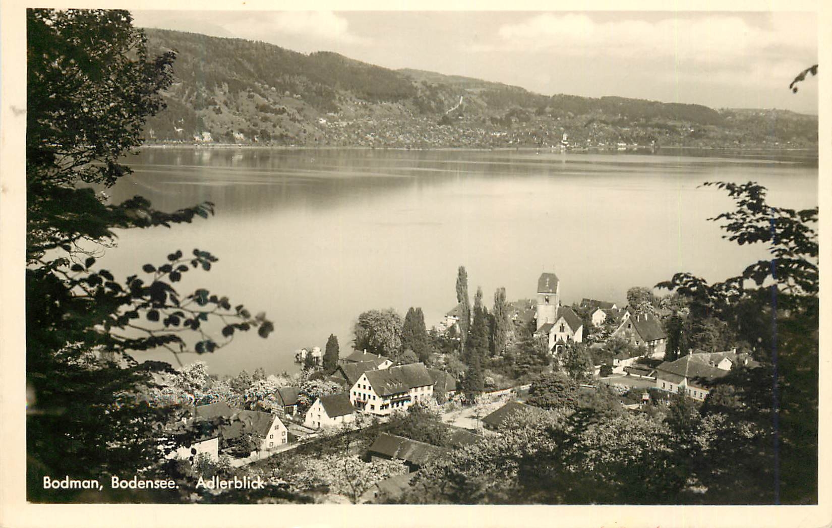 CPM Bodman Bodensee Adlerblick 