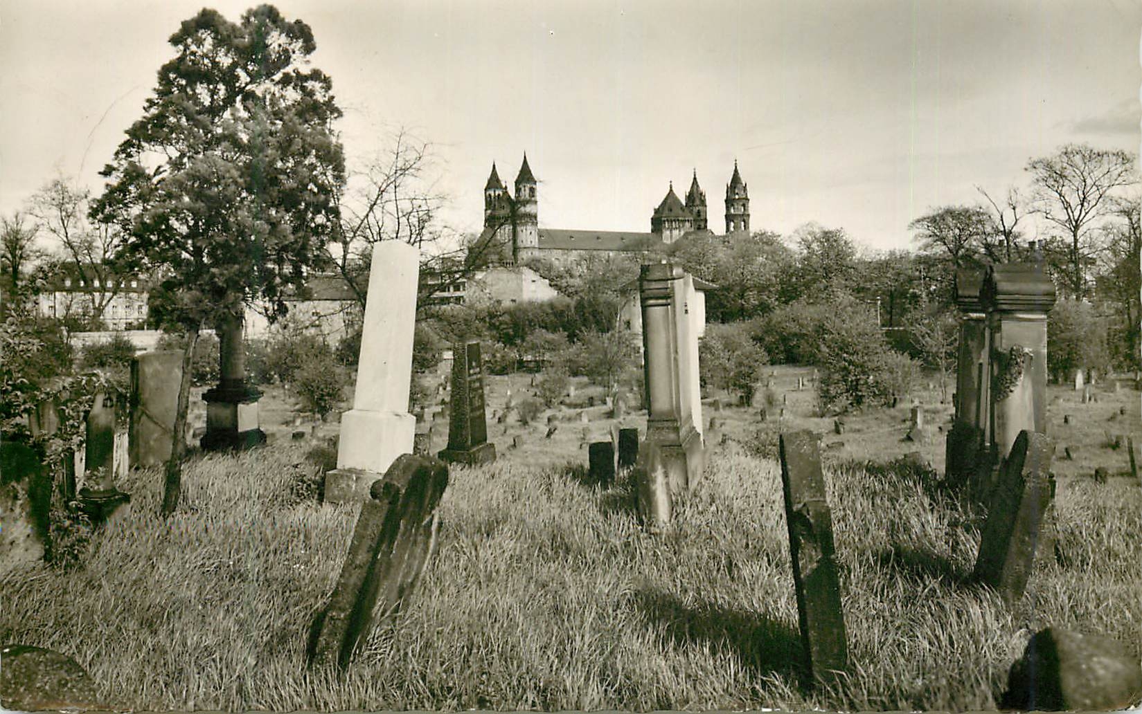 Cimetière juif de Worms — vue vers le Dom — Echite Photographie, n° 925/261
