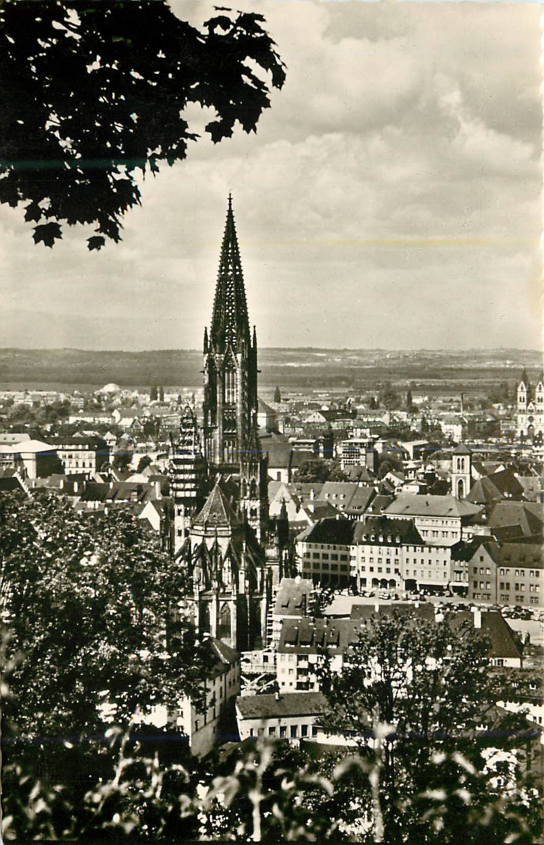 CPM Freiburg Schwarzwald vom Schlossberg gegen Vogesen 