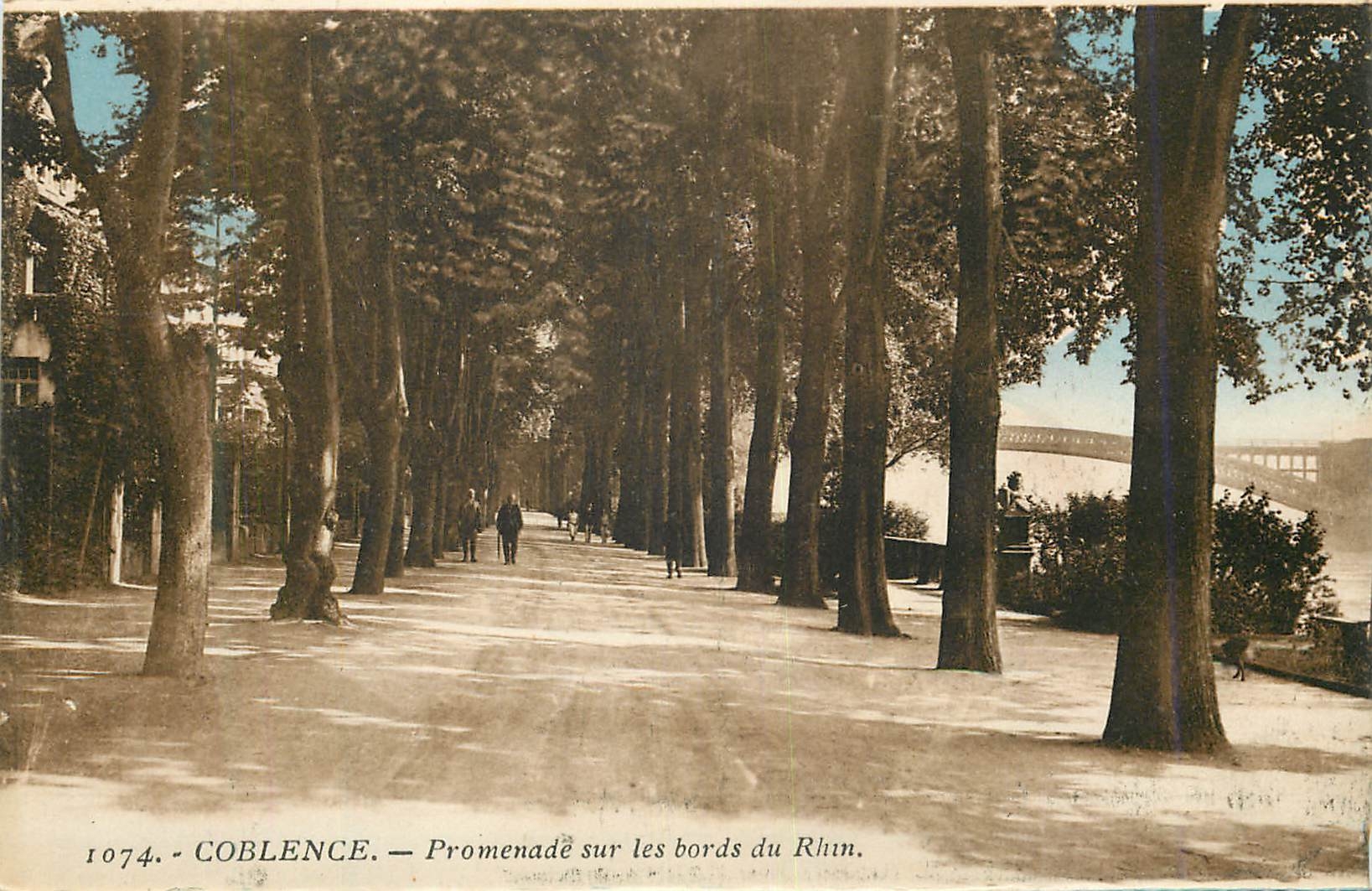 CPA Coblence Promenade sur les bords du Rhin 