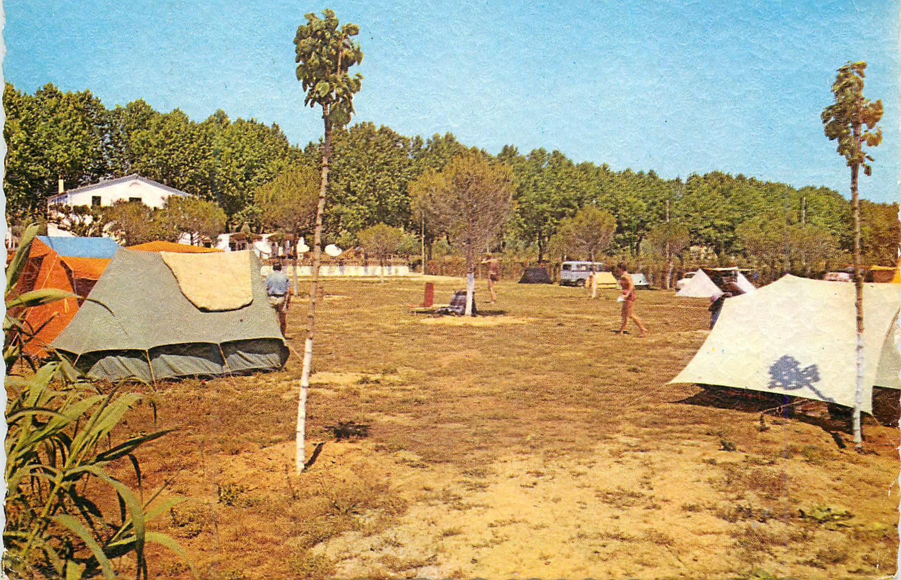 CPM Camping El Carro Canet de Mar Barcelona Vue partielle du Camp 