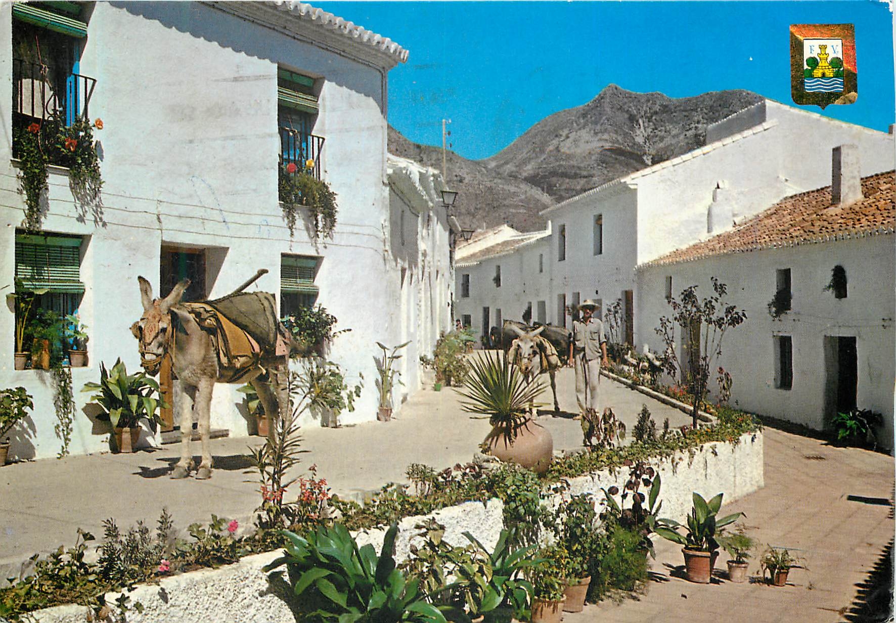 CPM Benalmadena Costa del Sol Tipica Calle de Comillas Ane Donkey
