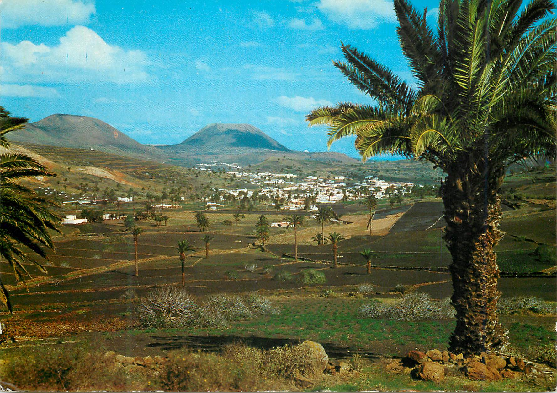 CPM Haria Lanzarote Vallee des Palmiers 