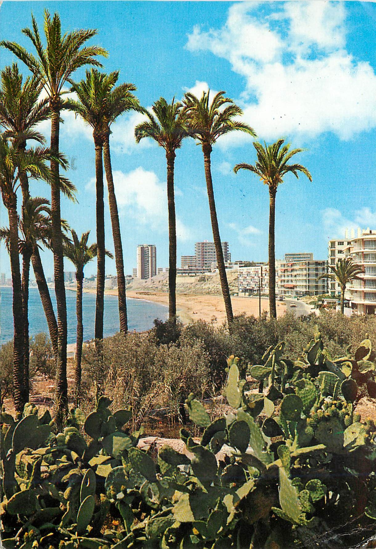 CPM San Juan Alicante Vue partielle de la plage 